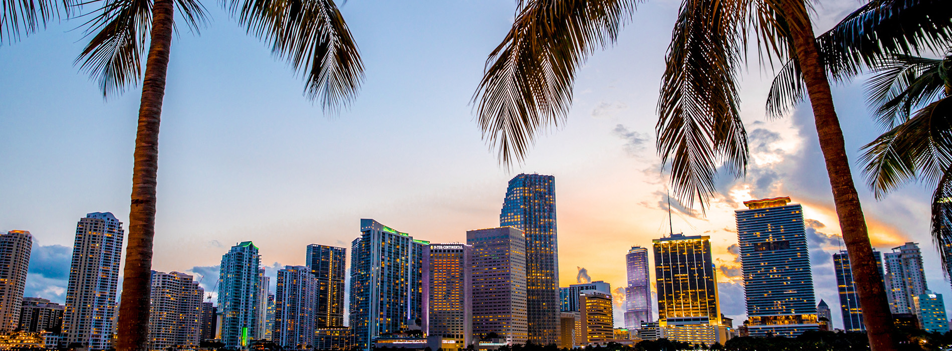The image shows a city skyline with palm trees at sunset, viewed from a distance.