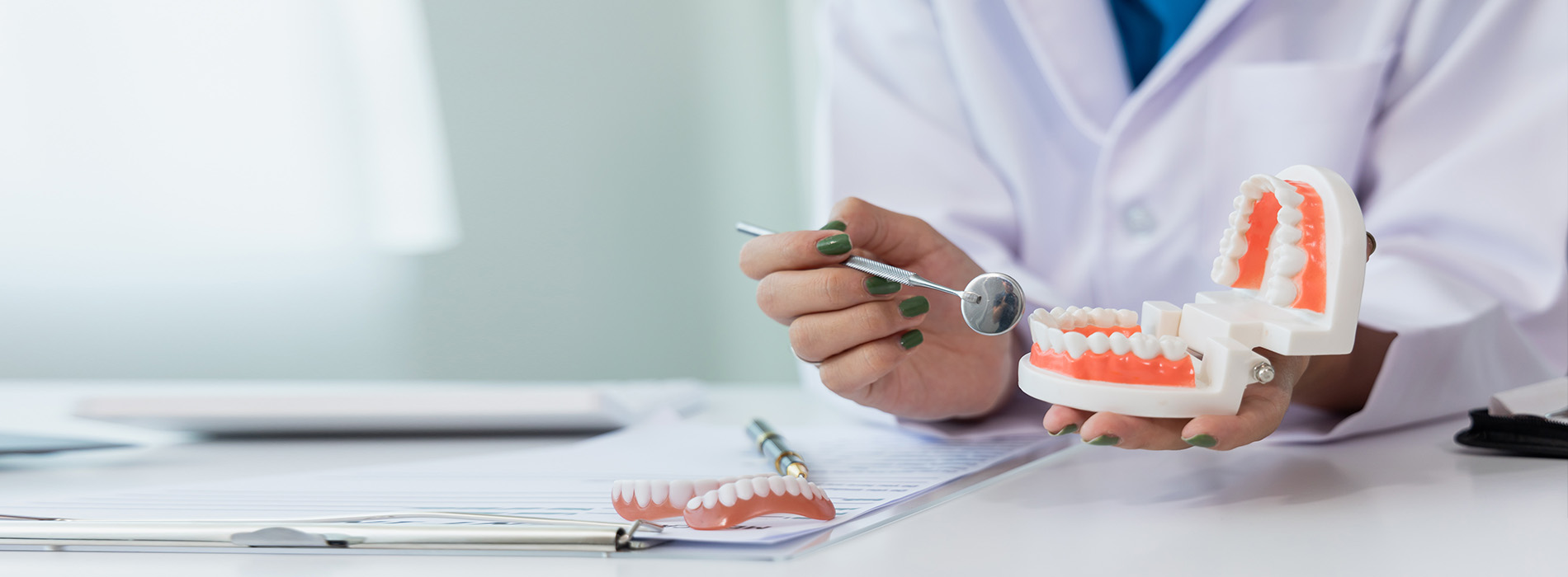 An individual in a dental office setting, holding a tooth model and examining it closely.